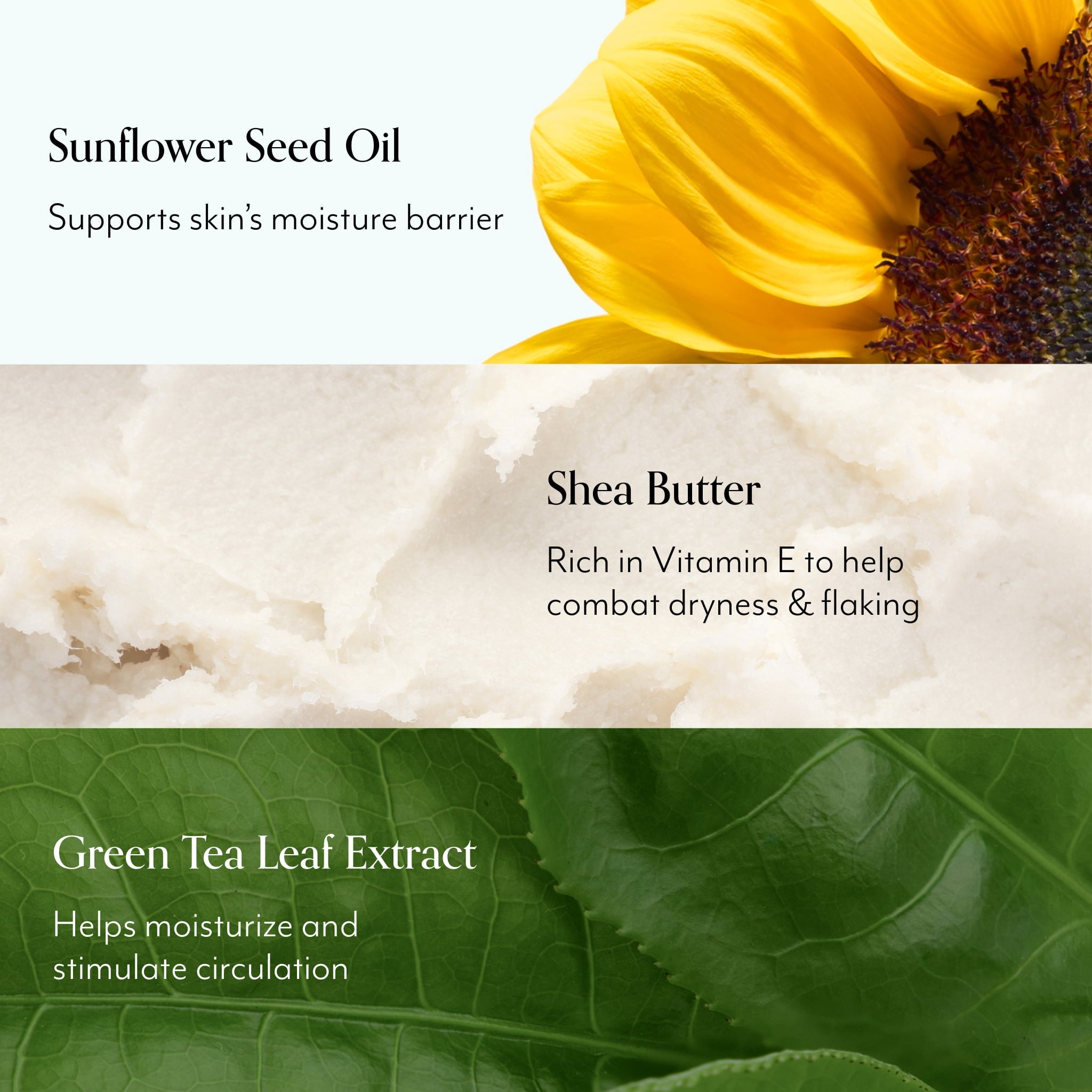 Oh, That's Rich Body Cream