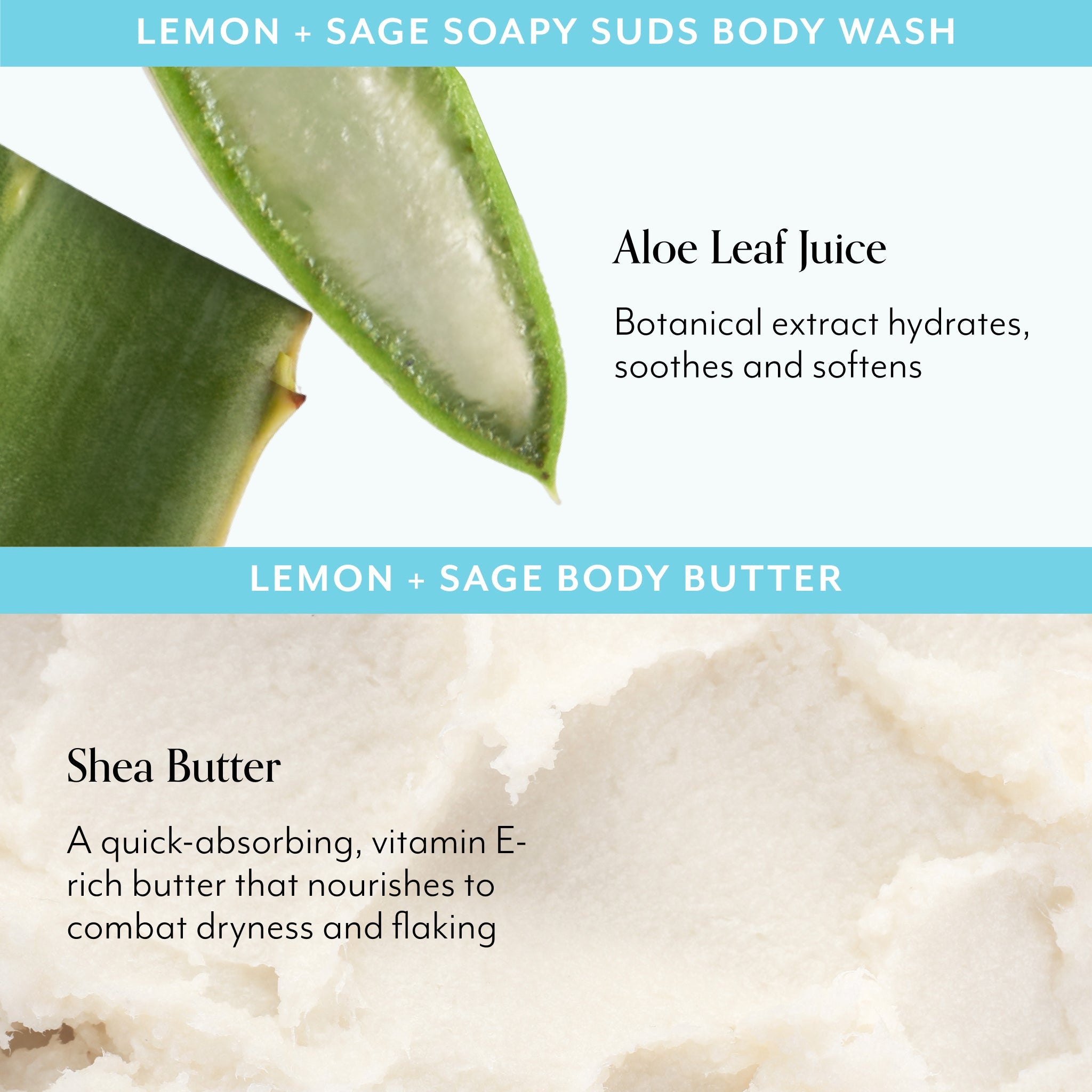 The Head-to-Toe Essentials Kit (5PC)