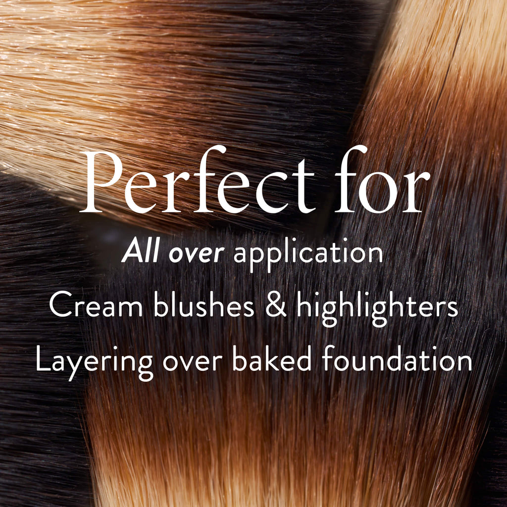The Wonder Brush